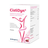 Immagine_CistiDyn_14_bust 