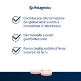 FerroDyn_Compresse_masticabili_Caratteristiche_principali